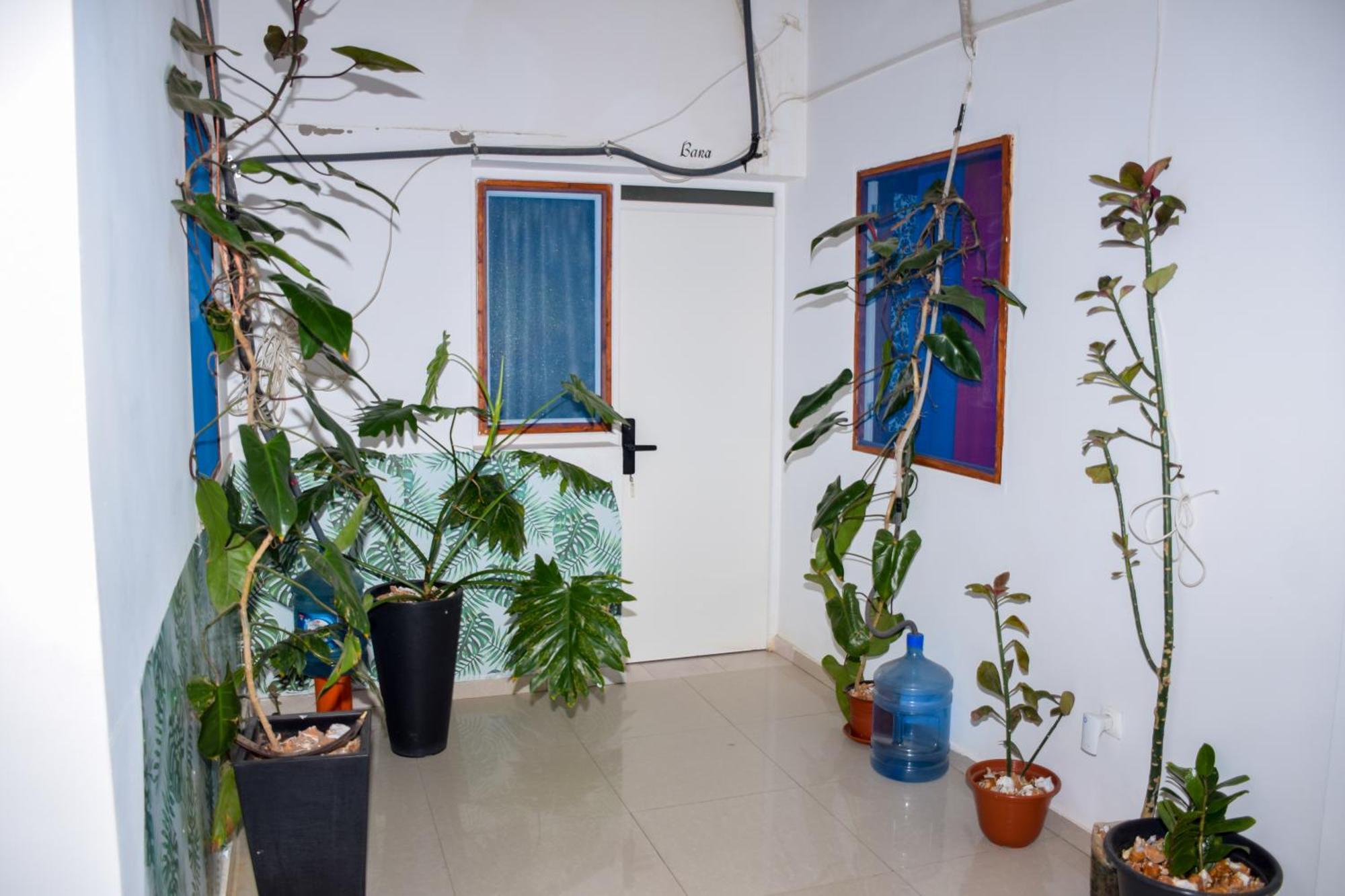 Boutique Hotel Principal ,Tarrafal ทาร์ราฟาล ภายนอก รูปภาพ